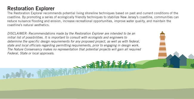 restore-and-protect-natural-shorelines-use-living-shoreline-techniques