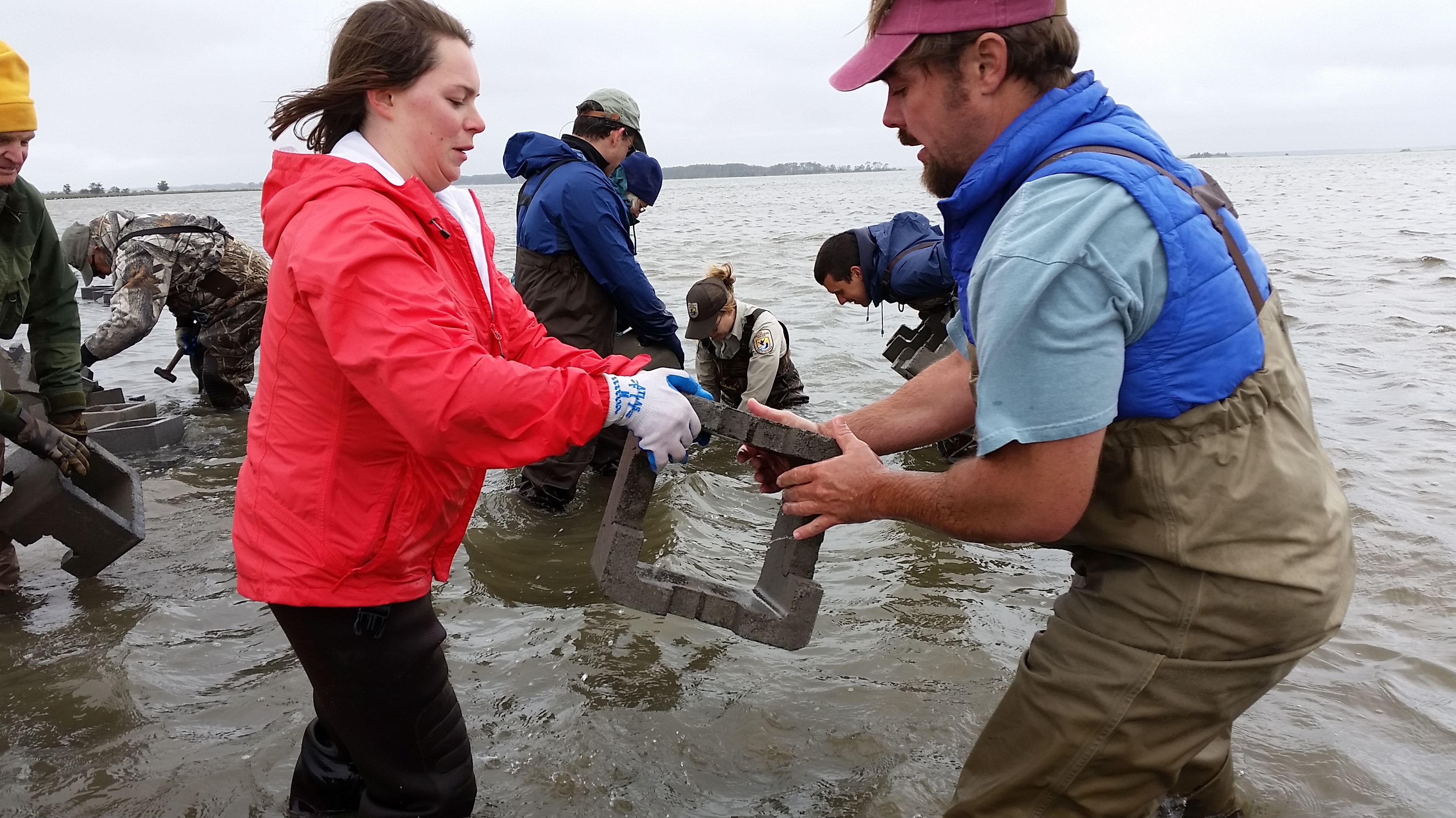 New Oyster Reefs at Chincoteague National Wildlife Refuge to Help Protect Coastlines Coastal