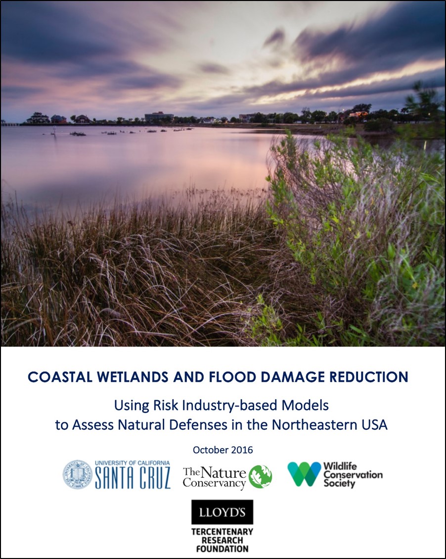 Coastal Wetlands And Flood Damage Reduction | Coastal Resilience