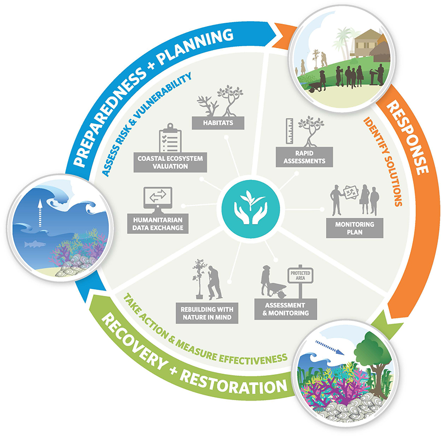 Nature In Humanitarian Cycle | Coastal Resilience