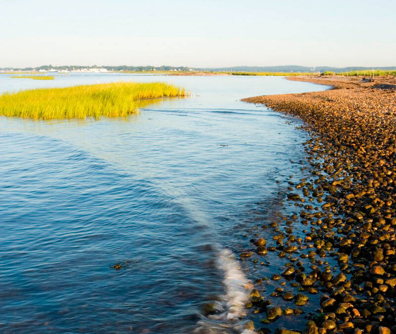 (ALL INTERNAL RIGHTS) The mouth of the Connecticut River at Gris