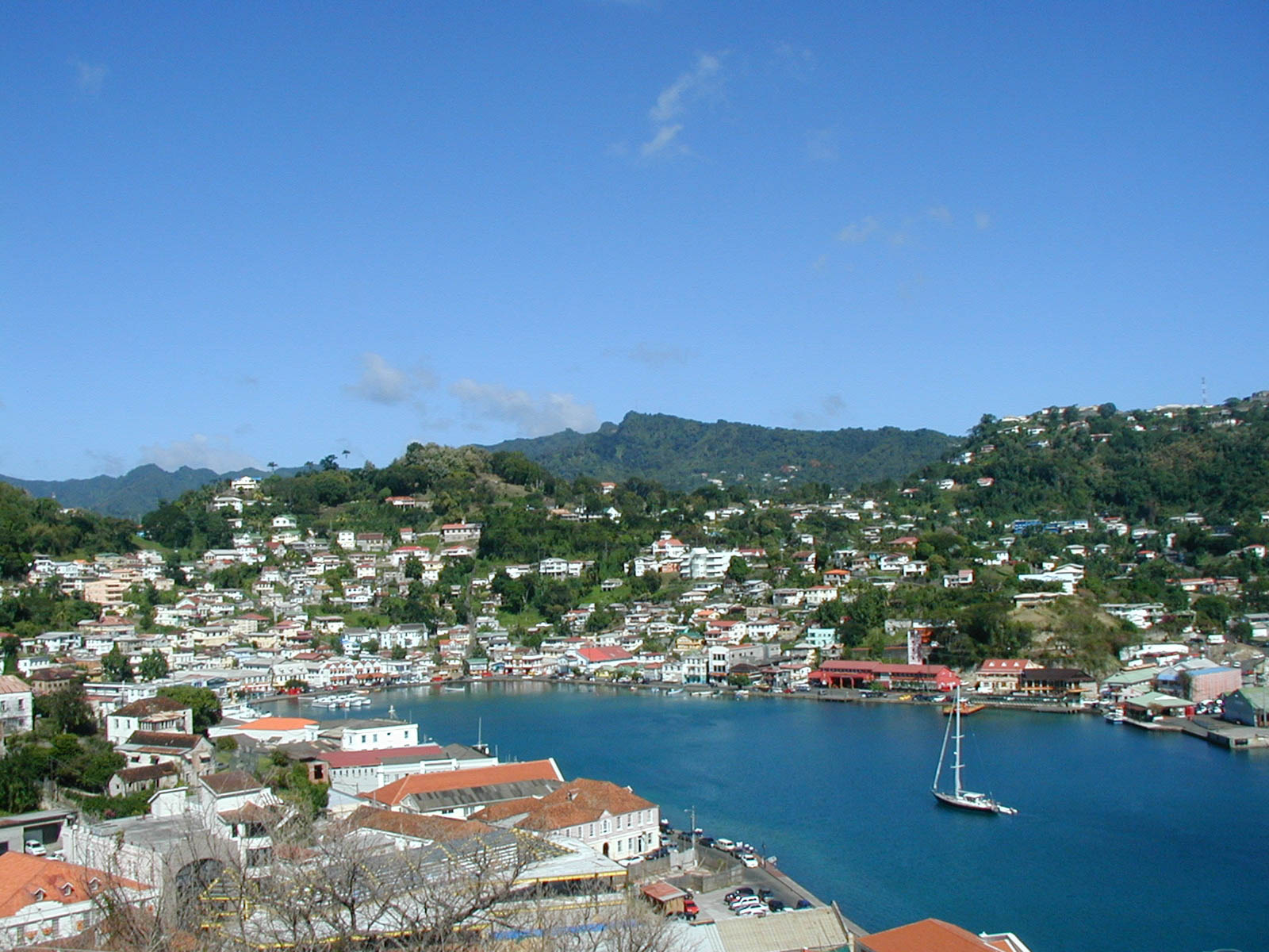 Can Building Resilient Coral Coastlines Help Protect Grenada?
