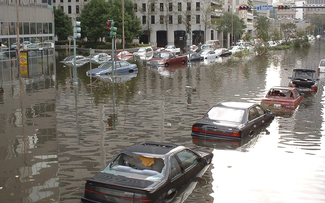 New Orleans, LA, Tuesday, August 30, 2005 — Cars parked on the New Orleans streets are flooded to the top of the wheel wells in this ground level photograph.  New Orleans was under a mandatory evacuation order as a result of flooding caused by hurricane