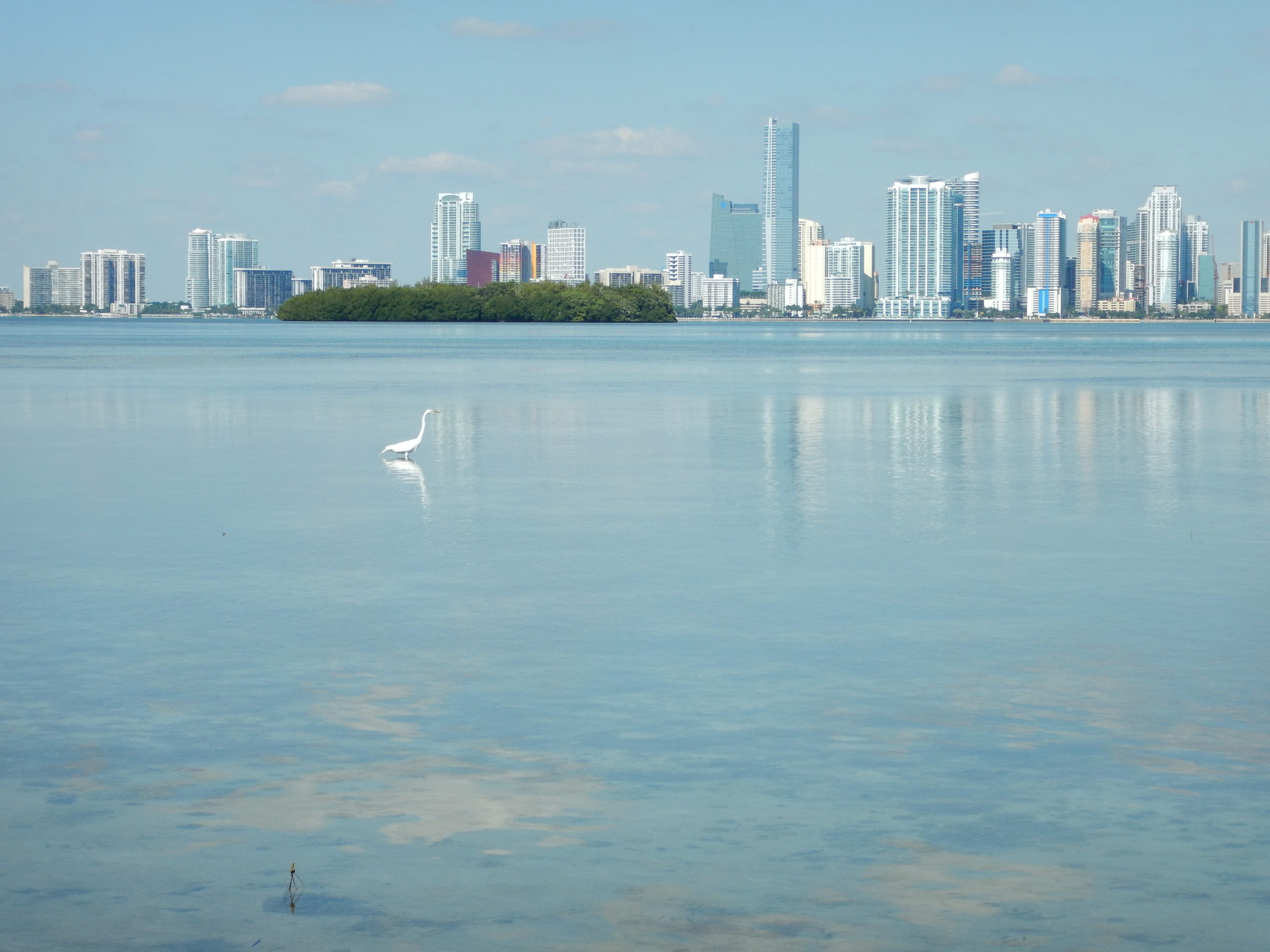Miami-Dade County Takes Steps Towards Climate Resilience