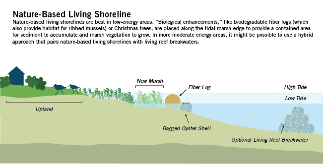 Restoration Explorer | Coastal Resilience