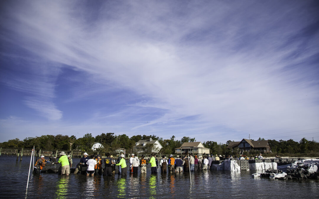 April 2013. The Nature Conservancy, its partners and over 500 volunteers started to build a 224-foot living shoreline at Pelican Point along Mobile Bay, Alabama.  In total, 20,500 interlocking concrete blocks will be stacked along the shore to form the fo