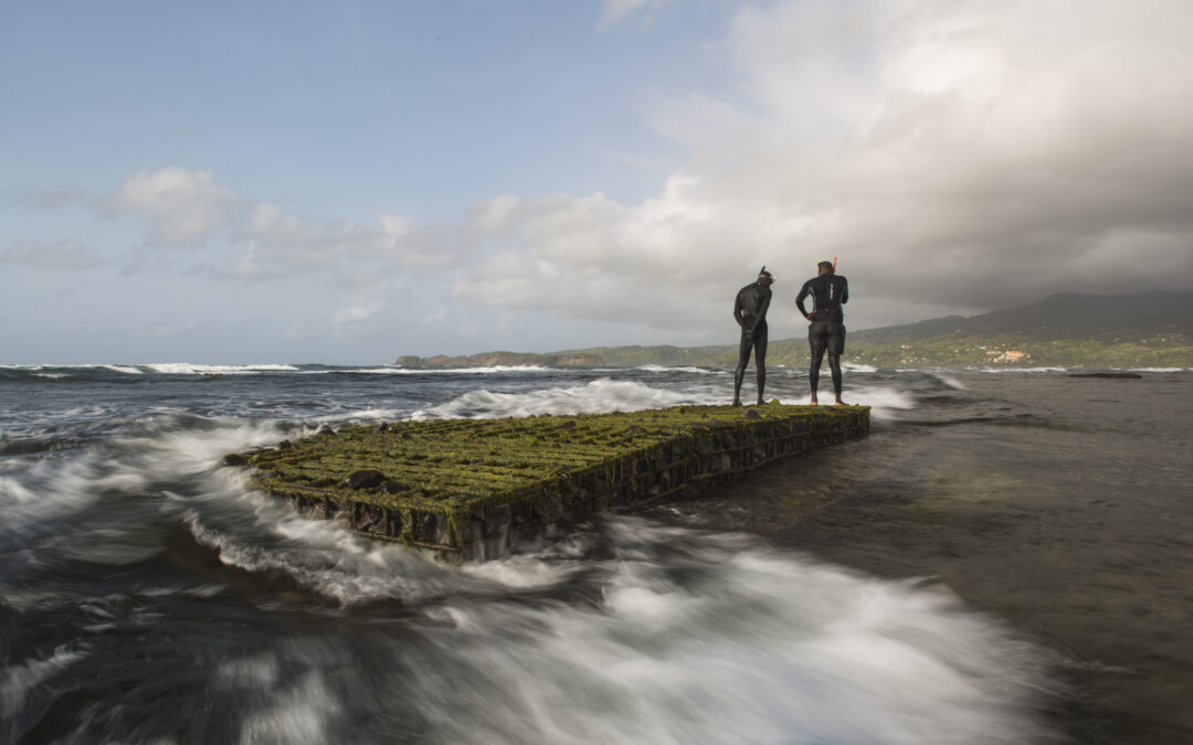 Two men stand atop an artificial reef in Grenville Bay, Grenada. Hybrid or re-engineered reefs, also called “artificial reefs,” were installed in Grenville Bay, Grenada using steel cages filled with stones and cement. The structures protect coastlines fro