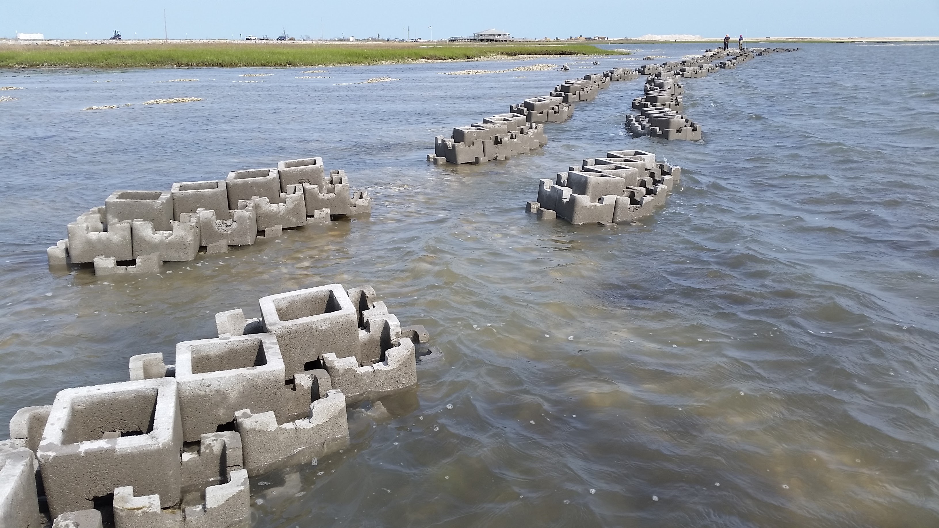 New Oyster Reefs at Chincoteague National Wildlife Refuge to Help Protect Coastlines