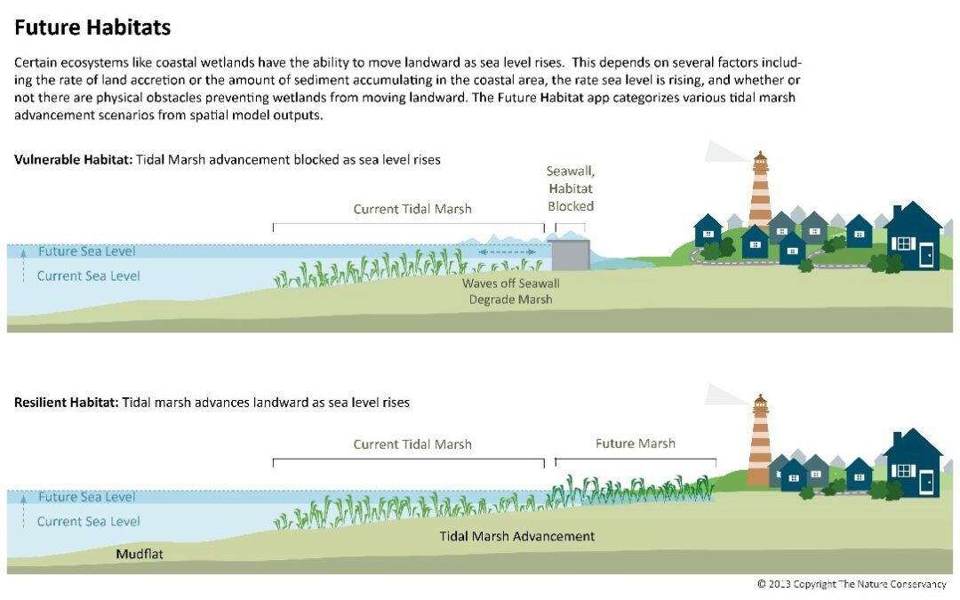 Habitat Infographic.TNC2013