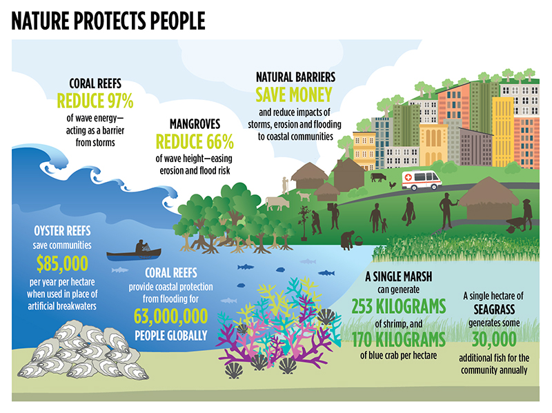 Indonesia | Coastal Resilience