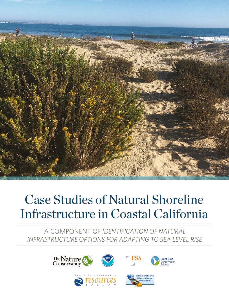 thumbnail of tnc_Natural-Shoreline-Case-Study_hi