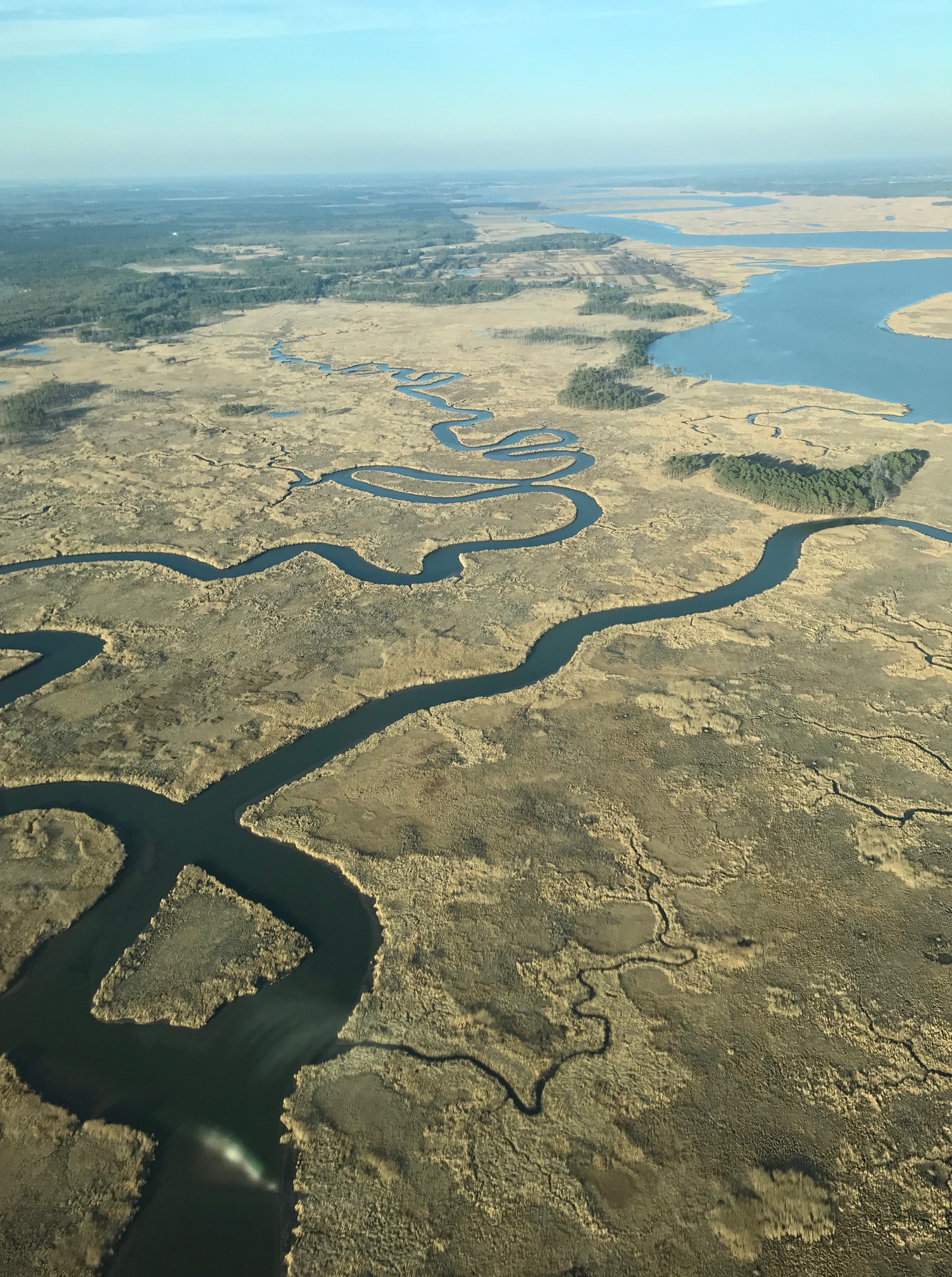 Maryland | Coastal Resilience