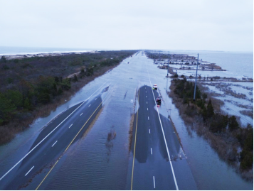 Using Natural Infrastructure To Protect Coastal Roads and Bridges
